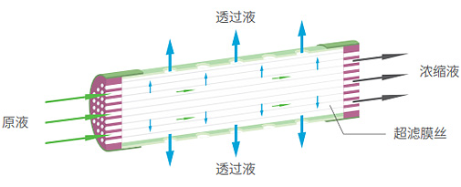 20230907163410_2159 MG不朽情缘(中国区)官方网站